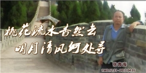 张青海，桃花流水杳然去，明月清风何处寻 。