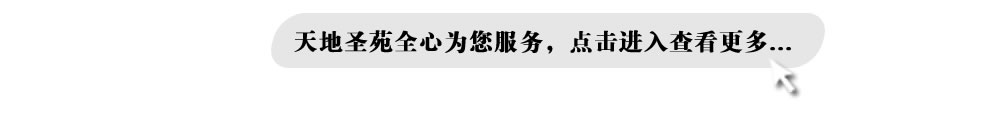 黎万荣、天地圣苑、思忆集专题